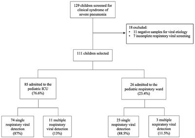 Comparison of Severe Viral Pneumonia Caused by SARS-CoV-2 and Other Respiratory Viruses Among Malaysian Children During the COVID-19 Pandemic